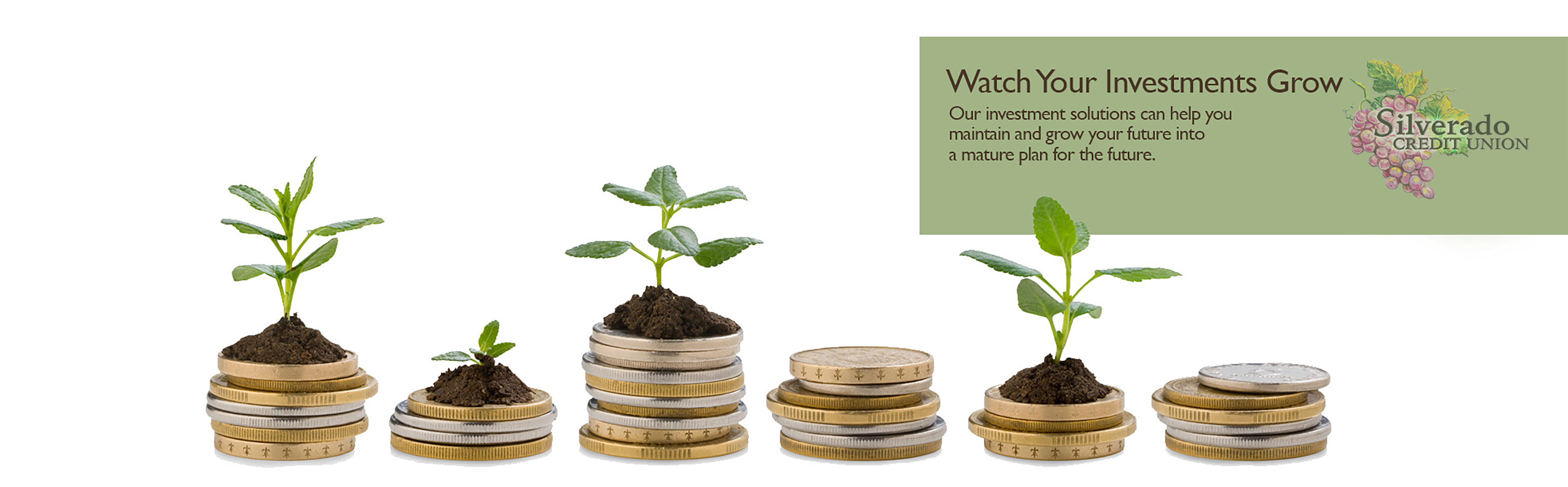 Investment Growth