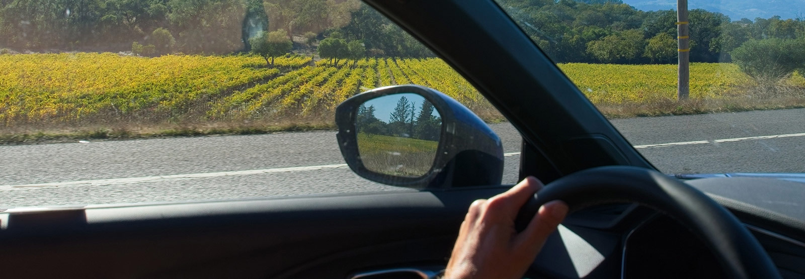 person driving car