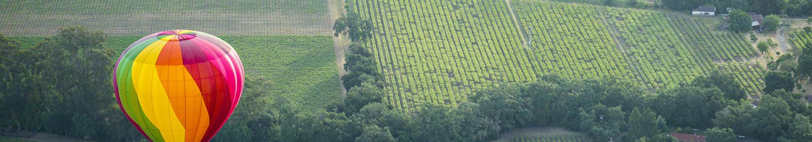 A hot air balloon over Northern California's wine country